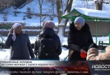 Закаленные холодом: история моржей с берегов Кошкараты