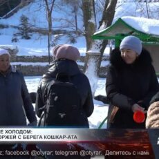 Закаленные холодом: история моржей с берегов Кошкараты