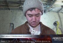 Почему молодые люди предпочитают легкие деньги техническим навыкам?