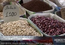 Как экономят шымкентцы в условиях роста цен Как сэкономить на рынке