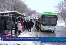 Что нужно знать о метапневмовирусе