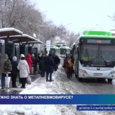 Что нужно знать о метапневмовирусе