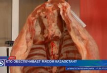 Кто обеспечивает мясом Казахстан?