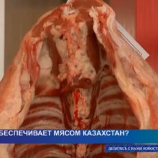 Кто обеспечивает мясом Казахстан?