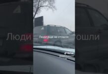 В Шымкенте водитель не подчинился и провез на капоте полицейского