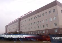 10-летний ребенок погиб под колесами автомобиля