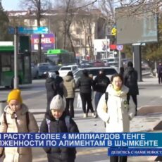 Более трёх тысяч матерей и отцов в Шымкенте уклоняются от алиментов