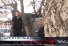 Запрет на «энергетики» до 21 года вводят в Казахстане