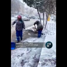 Слякоть на дорогах — это нормально