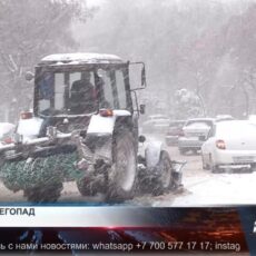 В Шымкенте выпала месячная норма снега