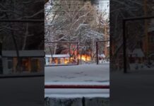 В парке Кен-Баба произошел пожар