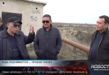 Заболоченные поля: Урожаи падают, а убытки растут