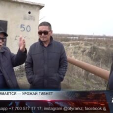 Заболоченные поля: Урожаи падают, а убытки растут