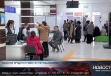 Как в Шымкенте поддерживают безработных? Как в Шымкенте поддерживают безработных