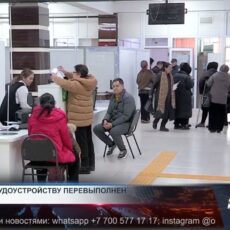 Как в Шымкенте поддерживают безработных? Как в Шымкенте поддерживают безработных