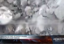 Человеческие останки обнаружили при подготовке полей к посевной Человеческие останки обнаружили при подготовке полей к посевной