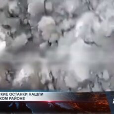 Человеческие останки обнаружили при подготовке полей к посевной Человеческие останки обнаружили при подготовке полей к посевной