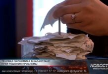 Теневая экономика составляет около 17% экономики страны Теневая экономика