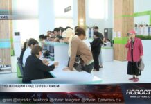 113 женщин под следствием за махинации с декретными пособиями 113 женщин под следствием за махинации с декретными пособиями