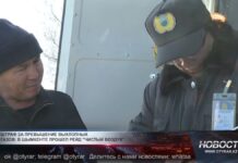 Водителей штрафуют за вредные выбросы в Шымкенте