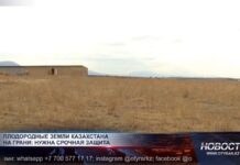 Почва истощается в Казахстане и становится бесплодной