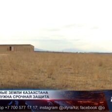 Почва истощается в Казахстане и становится бесплодной