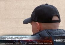 Опасный эффект: алкоголь провоцирует насилие и аварии Алкоголь провоцирует насилие и аварии