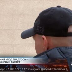 Опасный эффект: алкоголь провоцирует насилие и аварии Алкоголь провоцирует насилие и аварии
