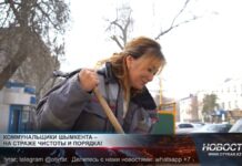 Коммунальные службы против уличного хаоса Коммунальные службы выступают против уличного хаоса