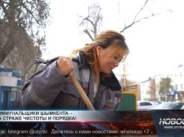 Коммунальные службы выступают против уличного хаоса