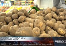 Картофель продолжает дорожать Картофель продолжает дорожать
