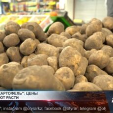 Картофель продолжает дорожать Картофель продолжает дорожать