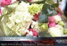 Грань между благодарностью и взяткой Что считается взяткой