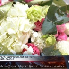 Грань между благодарностью и взяткой Что считается взяткой