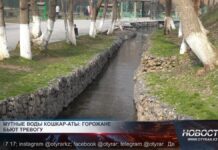 Мутные воды Кошкараты: горожане бьют тревогу Мутная вода в реке Кошкарата