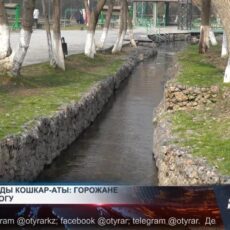 Установлен источник мутной воды в реке Кошкарата Мутная вода в реке Кошкарата