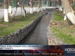 Мутная вода в реке Кошкарата