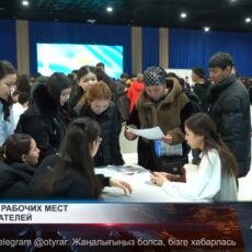 Более 2500 рабочих мест для соискателей Работа в Шымкенте на ярмарке вакансий