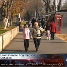 Мошенники активизировались: Под угрозой пенсионеры и дети Мошенники активизировались: Под угрозой пенсионеры и дети