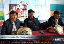 В Толебийском районе прошел детский чемпионат по казахской борьбе Чемпионат по казахской борьбе среди детей
