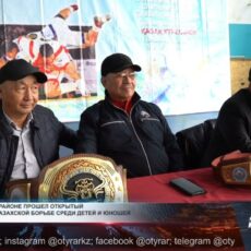 В Толебийском районе прошел детский чемпионат по казахской борьбе Чемпионат по казахской борьбе среди детей