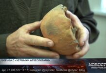 В Казахстане планируют усилить меры против «чёрных археологов» Черные археологи разрушают древние памятники культуры и истории