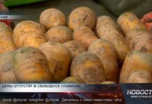 Цены на соцтовары отпустят в свободное плавание Цены на соцтовары отпустят в свободное плавание