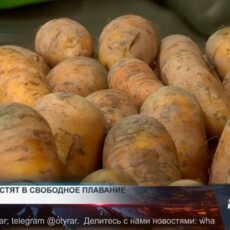 Цены на соцтовары отпустят в свободное плавание Цены на соцтовары отпустят в свободное плавание