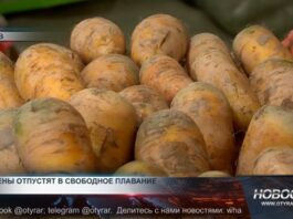 Цены на соцтовары отпустят в свободное плавание