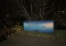 Автора наркограффити задержали с поличным в Шымкенте Наркограффити