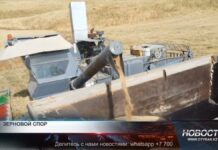 Минсельхоз предложил субсидировать экспорт излишков зерна В министерстве сельского хозяйства решили субсидировать экспорт казахстанской пшеницы