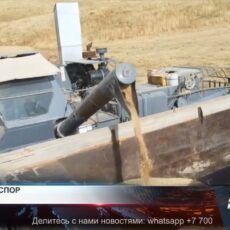 Минсельхоз предложил субсидировать экспорт излишков зерна В министерстве сельского хозяйства решили субсидировать экспорт казахстанской пшеницы