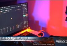 Полиция предупреждает об инвестиционных аферах и SMS-фишинге Мошенничество в Интернете растет