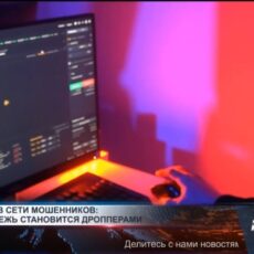 Полиция предупреждает об инвестиционных аферах и SMS-фишинге Мошенничество в Интернете растет